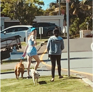 Meet your Posher, Priya